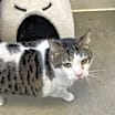 Thumbnail photo of Buddy #2
