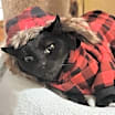 Thumbnail photo of Mikey #1