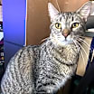 Thumbnail photo of KIT #2