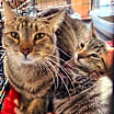 Thumbnail photo of KIT #3