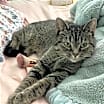 Thumbnail photo of Virginia #1