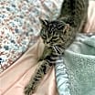 Thumbnail photo of Virginia #2