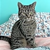 Thumbnail photo of Virginia #3
