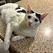 Thumbnail photo of Sugar #3
