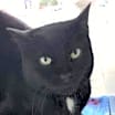 Thumbnail photo of Buster AKA Stringer #2