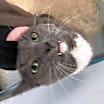 Thumbnail photo of Sid #3