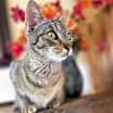 Thumbnail photo of Cassie #1