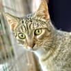 Thumbnail photo of Cassie #2