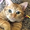 Thumbnail photo of Garfield Wallace #1