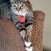 Thumbnail photo of Mary Jane #1