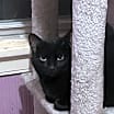 Thumbnail photo of JiJi #4