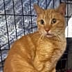 Thumbnail photo of Morris #2