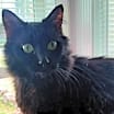 Thumbnail photo of Sophia #2