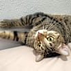 Thumbnail photo of Marley #4