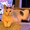 Thumbnail photo of Luke #3