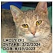 Thumbnail photo of Lacey #2
