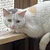 Thumbnail photo of Dotty #2