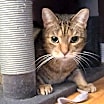 Thumbnail photo of Trym #4