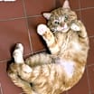 Thumbnail photo of Michael #4
