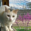 Thumbnail photo of Dotty #3