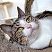 Thumbnail photo of Greta #1