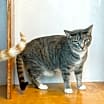 Thumbnail photo of Snuggler #2