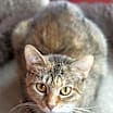 Thumbnail photo of Marmee #2