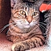 Thumbnail photo of Marmee #4