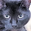 Thumbnail photo of Carissa #1