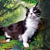 Thumbnail photo of Russ #1