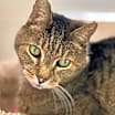 Thumbnail photo of Theodore #1
