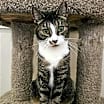 Thumbnail photo of Hudson #1