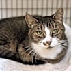 Thumbnail photo of Hudson #2