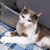 Thumbnail photo of Harper #1