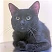 Thumbnail photo of Sebastian #1