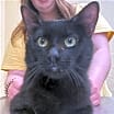Thumbnail photo of Sebastian #2