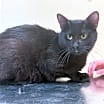 Thumbnail photo of Sebastian #3