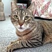 Thumbnail photo of Layla #4