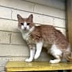 Thumbnail photo of Gunther #1
