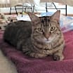 Thumbnail photo of jody #3