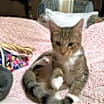 Thumbnail photo of Harry #3