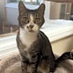 Thumbnail photo of Hudson #3