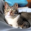 Thumbnail photo of Holly Berry (I'm in foster care!) #1
