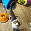 Thumbnail photo of Edward #2