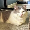 Thumbnail photo of Timothy #1