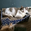 Thumbnail photo of Timothy #2