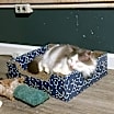 Thumbnail photo of Timothy #3