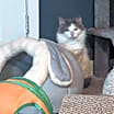 Thumbnail photo of Timothy #4