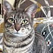 Thumbnail photo of Sophie 10 #1