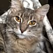 Thumbnail photo of Kiki #3